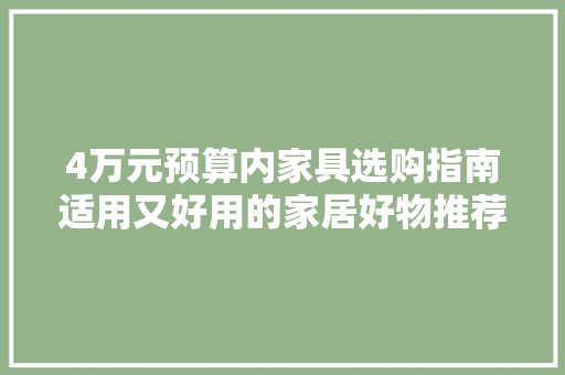4万元预算内家具选购指南适用又好用的家居好物推荐