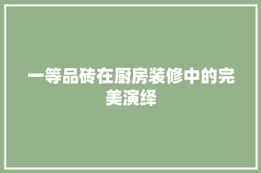 一等品砖在厨房装修中的完美演绎