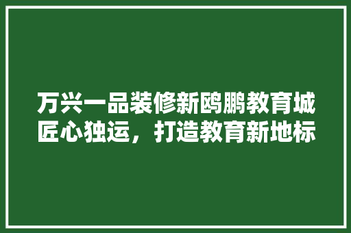 万兴一品装修新鸥鹏教育城匠心独运，打造教育新地标