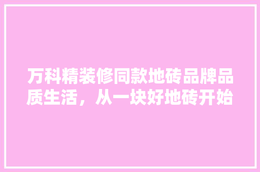 万科精装修同款地砖品牌品质生活，从一块好地砖开始