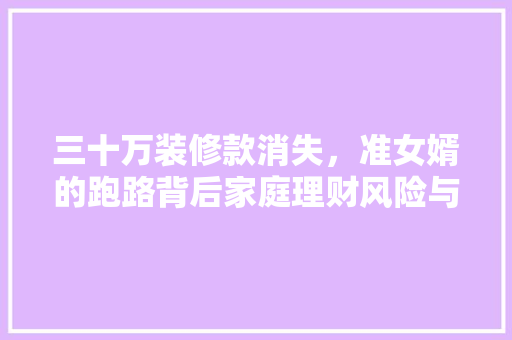 三十万装修款消失，准女婿的跑路背后家庭理财风险与防范之路