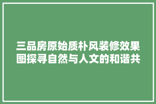 三品房原始质朴风装修效果图探寻自然与人文的和谐共生