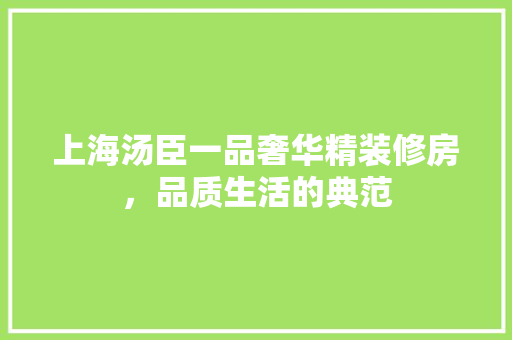 上海汤臣一品奢华精装修房，品质生活的典范