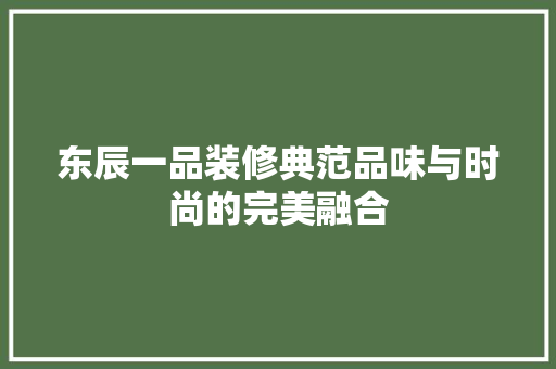 东辰一品装修典范品味与时尚的完美融合