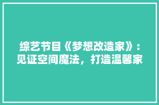 综艺节目《梦想改造家》：见证空间魔法，打造温馨家园