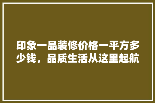印象一品装修价格一平方多少钱，品质生活从这里起航