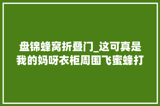 盘锦蜂窝折叠门_这可真是我的妈呀衣柜周围飞蜜蜂打开一看竟然有个大年夜蜂窝