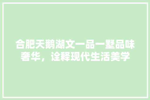合肥天鹅湖文一品一墅品味奢华，诠释现代生活美学