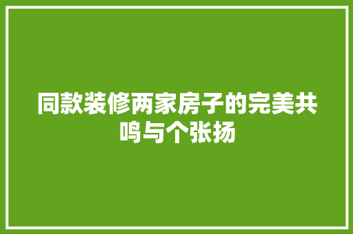 同款装修两家房子的完美共鸣与个张扬
