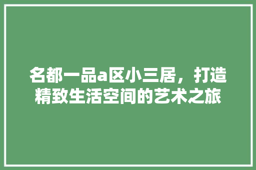 名都一品a区小三居，打造精致生活空间的艺术之旅