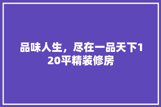 品味人生，尽在一品天下120平精装修房