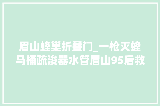 眉山蜂巢折叠门_一枪灭蜂马桶疏浚器水管眉山95后救火员发明新型灭蜂枪