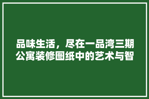 品味生活，尽在一品湾三期公寓装修图纸中的艺术与智慧
