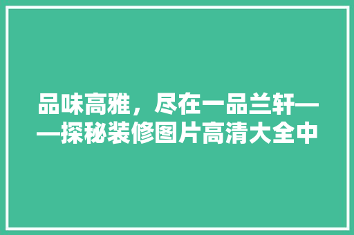 品味高雅，尽在一品兰轩——探秘装修图片高清大全中的艺术殿堂