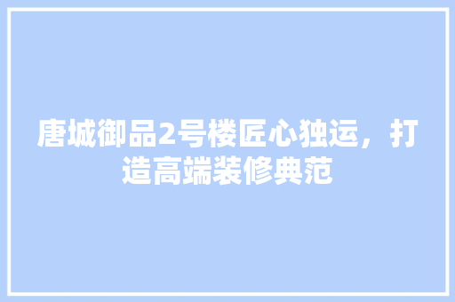 唐城御品2号楼匠心独运，打造高端装修典范