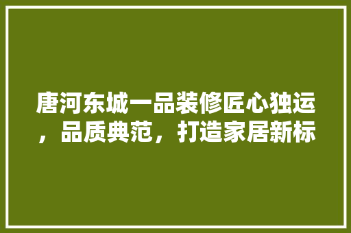 唐河东城一品装修匠心独运，品质典范，打造家居新标杆