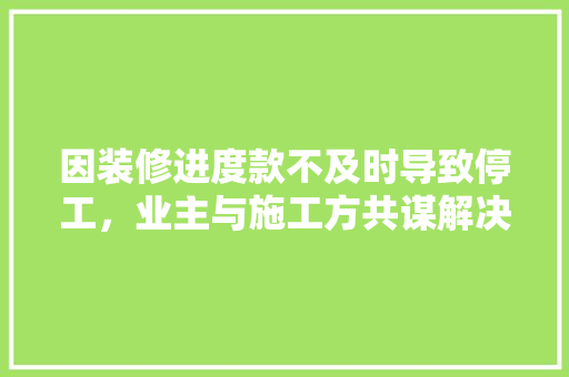 因装修进度款不及时导致停工，业主与施工方共谋解决方法