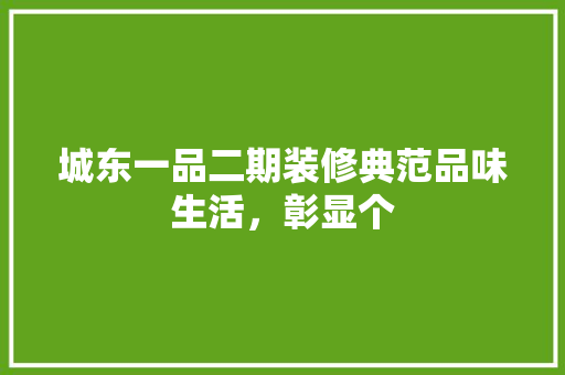 城东一品二期装修典范品味生活，彰显个