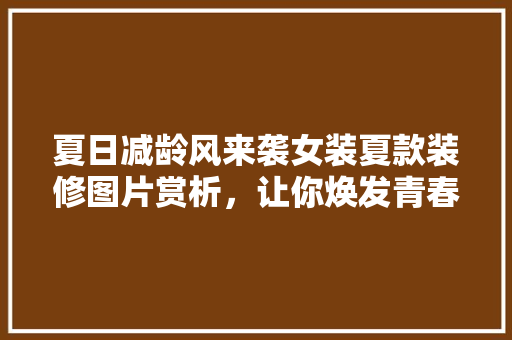 夏日减龄风来袭女装夏款装修图片赏析，让你焕发青春光彩
