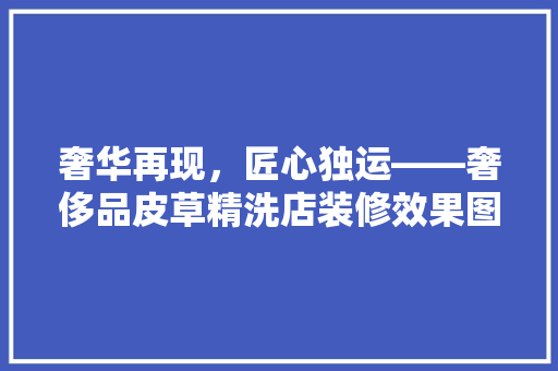 奢华再现，匠心独运——奢侈品皮草精洗店装修效果图背后的故事