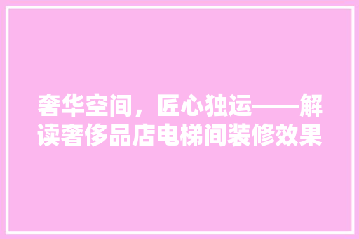 奢华空间，匠心独运——解读奢侈品店电梯间装修效果图