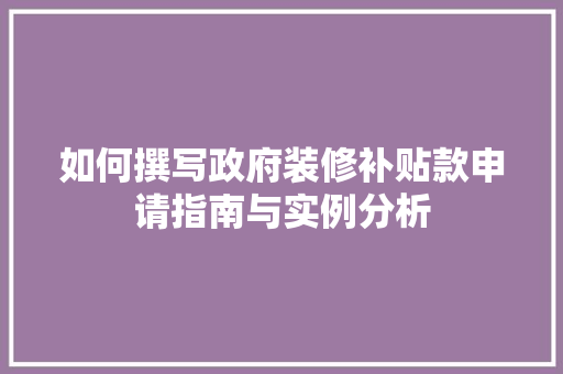 如何撰写政府装修补贴款申请指南与实例分析