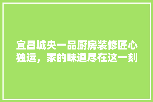 宜昌城央一品厨房装修匠心独运，家的味道尽在这一刻绽放