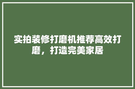 实拍装修打磨机推荐高效打磨，打造完美家居
