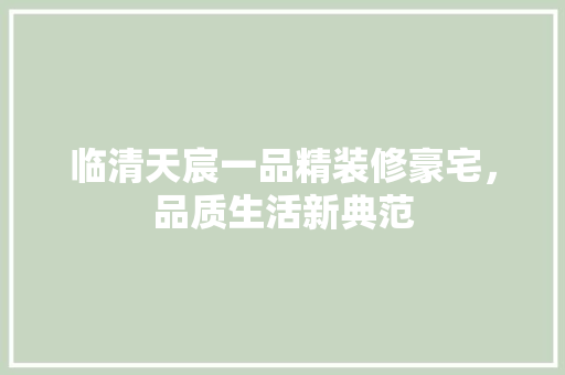 临清天宸一品精装修豪宅，品质生活新典范