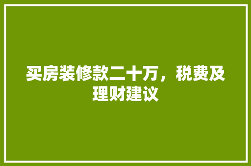 买房装修款二十万，税费及理财建议