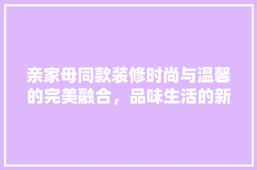 亲家母同款装修时尚与温馨的完美融合，品味生活的新选择