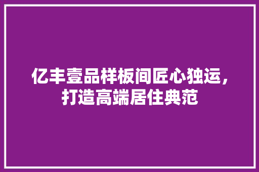 亿丰壹品样板间匠心独运，打造高端居住典范