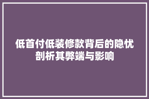 低首付低装修款背后的隐忧剖析其弊端与影响