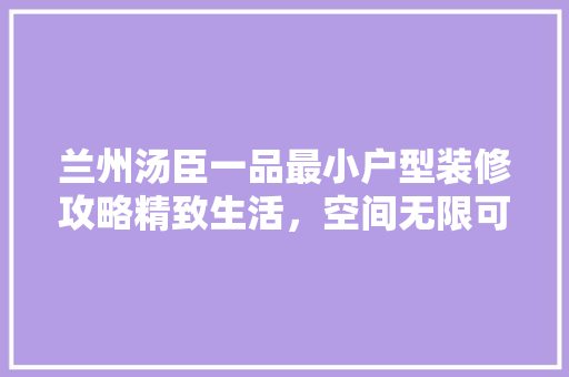兰州汤臣一品最小户型装修攻略精致生活，空间无限可能