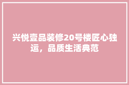 兴悦壹品装修20号楼匠心独运，品质生活典范
