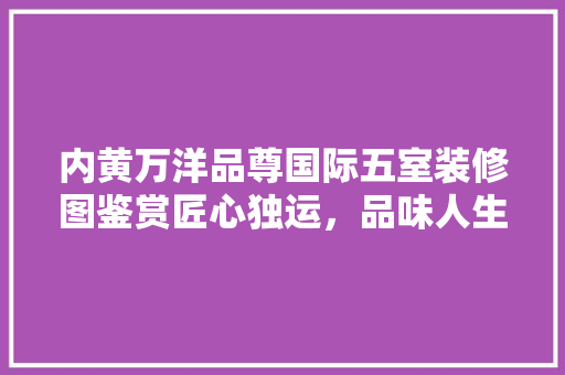内黄万洋品尊国际五室装修图鉴赏匠心独运，品味人生