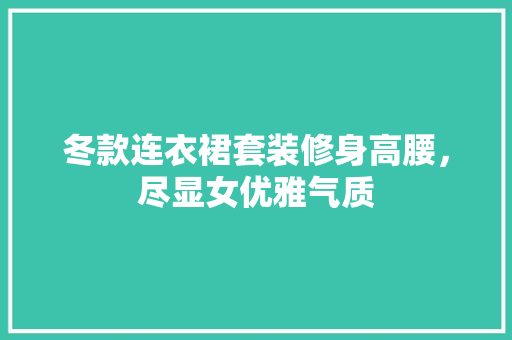 冬款连衣裙套装修身高腰，尽显女优雅气质