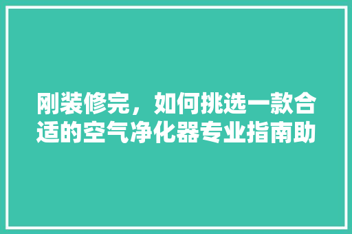 刚装修完，如何挑选一款合适的空气净化器专业指南助您呼吸清新空气