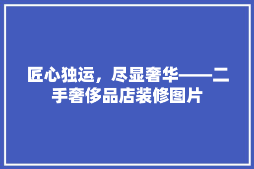 匠心独运，尽显奢华——二手奢侈品店装修图片