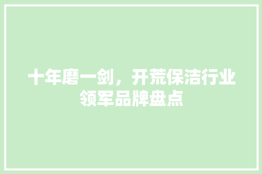 十年磨一剑，开荒保洁行业领军品牌盘点
