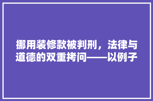 挪用装修款被判刑，法律与道德的双重拷问——以例子解读挪用公款的法律后果