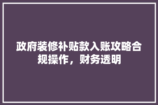 政府装修补贴款入账攻略合规操作，财务透明