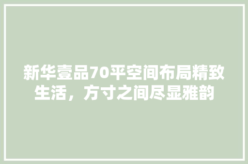 新华壹品70平空间布局精致生活，方寸之间尽显雅韵