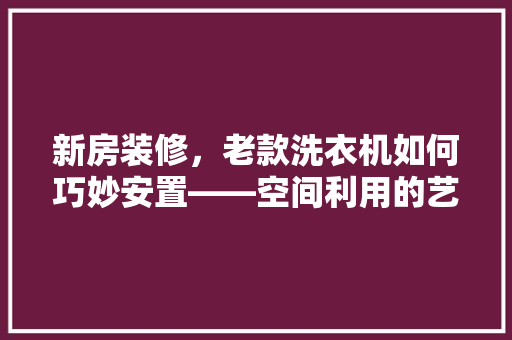 新房装修，老款洗衣机如何巧妙安置——空间利用的艺术