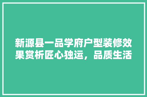 新源县一品学府户型装修效果赏析匠心独运，品质生活新篇章