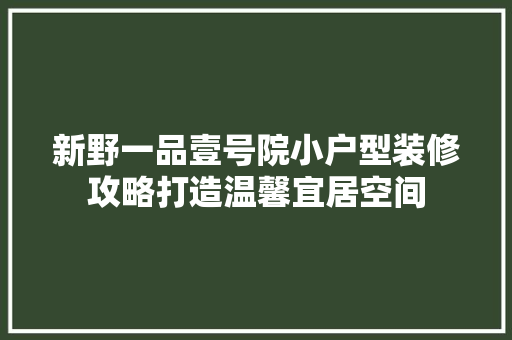 新野一品壹号院小户型装修攻略打造温馨宜居空间