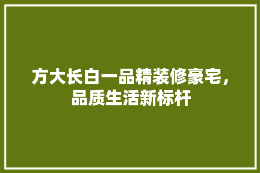 方大长白一品精装修豪宅，品质生活新标杆