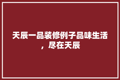 天辰一品装修例子品味生活，尽在天辰
