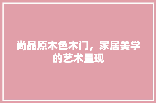 尚品原木色木门，家居美学的艺术呈现