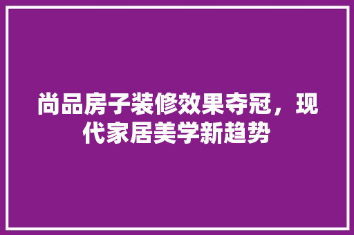 尚品房子装修效果夺冠，现代家居美学新趋势